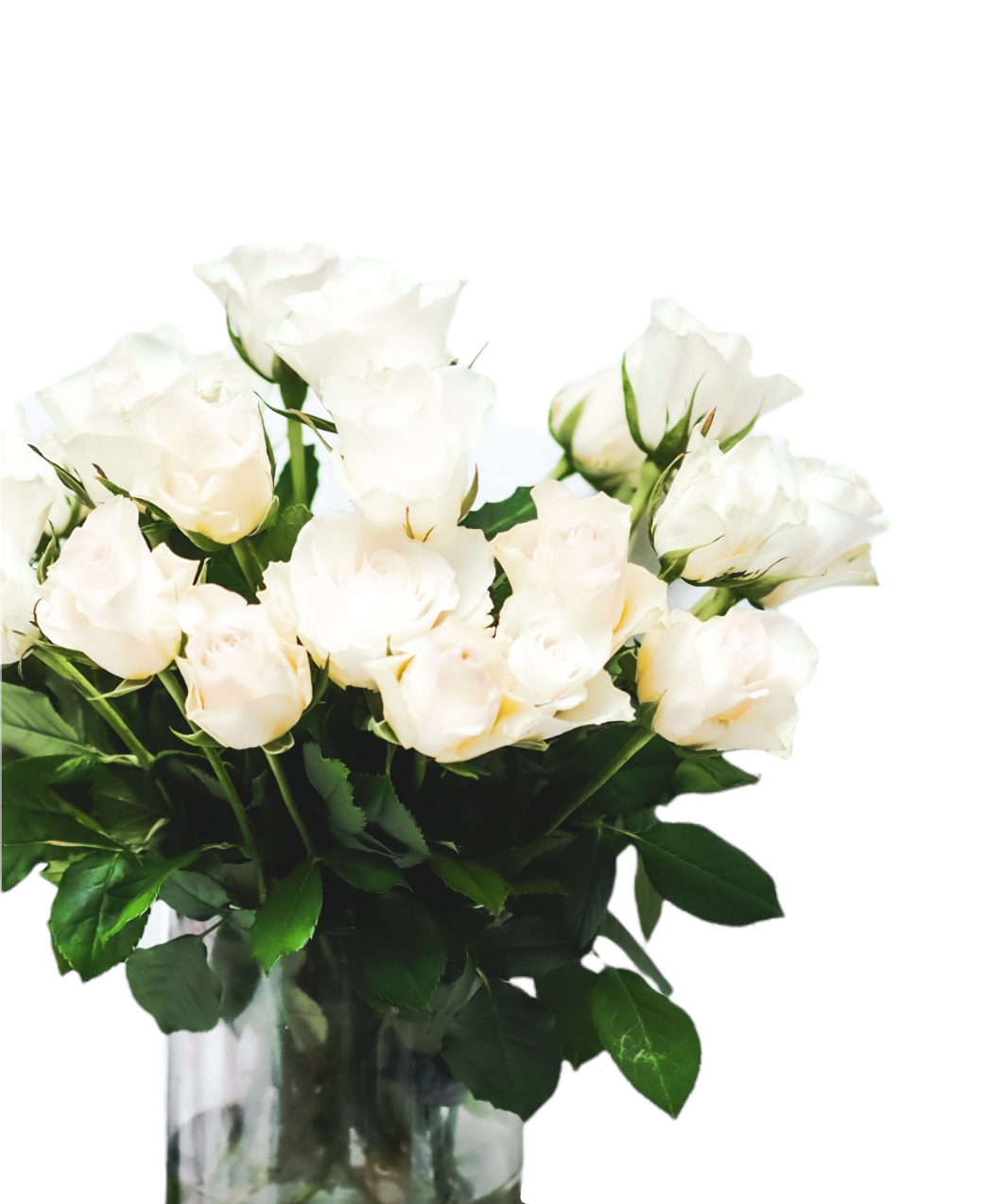 Hvid rose buket